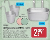 Hängeblumenkasten von Belavi im aktuellen ALDI Nord Prospekt