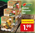 Kokos-Anzucht-Set Angebote von Garten Magie bei Netto Marken-Discount Herten für 1,99 €