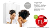 Aktuelle Bad-Spiegelschrank Angebote bei Zurbrüggen in Bielefeld Aktuelles Spiegelschrank AKTION 60 Angebot bei Zurbrüggen in Bielefeld ab 111,00 €
