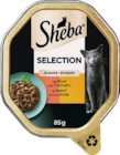 Katzennahrung Angebote von Sheba bei E center Regensburg für 0,49 €