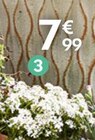 Iberis vivace - Snowflake en promo chez Truffaut Aix-en-Provence à 7,99 €