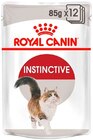 Katzennassfutter im Angebot bei REWE in Altenburg Katzennassfutter Angebote von Royal Canin bei REWE Altenburg für 14,99 €