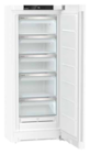 Aktuelles Gefrierschrank GN 46Ve05 Angebot bei expert in Cottbus ab 549,00 €