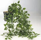 Plante artificielle oliver en promo chez Jysk Plante artificielle oliver dans le catalogue Jysk