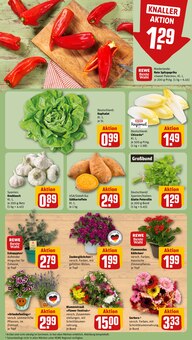 Kartoffeln im aktuellen REWE Prospekt (Chemnitz) Kartoffeln im REWE Prospekt "Dein Markt" mit 32 Seiten (Chemnitz)