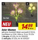 Solar-Blumen Angebote bei toom Baumarkt Bergheim für 14,99 €