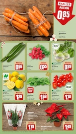 Aktueller REWE Prospekt mit Bio, "Dein Markt", Seite 9