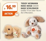 Hase Beige im Müller Prospekt Hase Beige von Teddy Hermann im aktuellen Müller Prospekt für 16,99 €