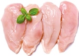 Netto mit dem Scottie - Frische Hähnchenbrustfilets Angebot im Prospekt Frische Hähnchenbrustfilets bei Netto mit dem Scottie im Prospekt "" für 5,55 €