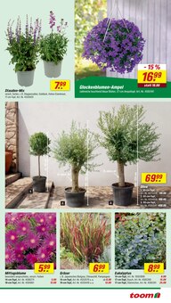 Oliven im toom Baumarkt Prospekt "Respekt, wer's selber macht." mit 24 Seiten (Jena)