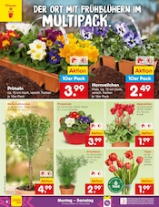 Aktueller Netto Marken-Discount Prospekt mit Pflanzen, "Aktuelle Angebote", Seite 6