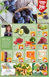 REWE Tierfutter im Prospekt 
