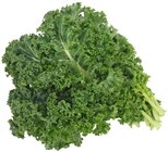 Grünkohl bei REWE im Icking Prospekt für 1,79 €