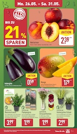 Mango im ALDI Nord Prospekt in Minden Aktueller ALDI Nord Prospekt mit Mango, "Aktuelle Angebote", Seite 7