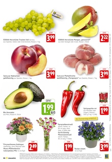 Blumen im EDEKA Prospekt "Aktuelle Angebote" mit 34 Seiten (Mainz)