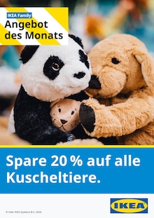 IKEA Prospekt Angebot des Monats mit  Seite