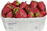 Aktuelles Erdbeeren Angebot bei E center in Frankfurt (Main)