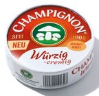 Aktuelle Champignons Angebote bei Netto mit dem Scottie in Dresden Aktuelles Camembert Angebot bei Netto mit dem Scottie in Dresden ab 2,49 €