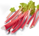 Aktuelles Rhabarber Angebot bei Netto Marken-Discount in Oldenburg ab 2,29 €
