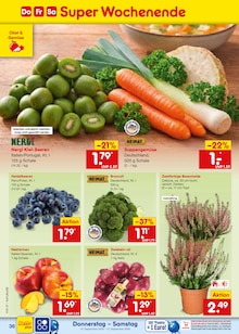 Pflanzen im Netto Marken-Discount Prospekt "Aktuelle Angebote" mit 71 Seiten (Aachen)