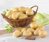 Pomme de terre de consommation nouvelle récolte en promo chez Super U Vaulx-en-Velin à 2,99 €