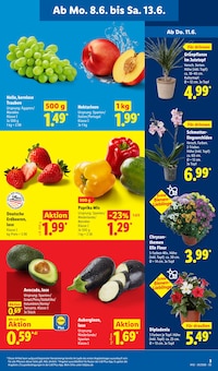 Paprika im Lidl Prospekt "LIDL LOHNT SICH" mit 73 Seiten (Koblenz)