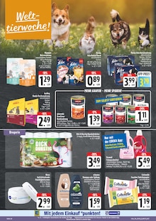 Katzenfutter im aktuellen EDEKA Prospekt (Erlangen) Katzenfutter im EDEKA Prospekt "Wir lieben Lebensmittel!" mit 28 Seiten (Erlangen)