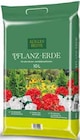 Pflanz-Erde von  im aktuellen Pflanzen Kölle Prospekt für 5,49 €