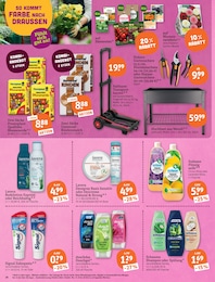 Gartenerde im tegut Prospekt "tegut… gute Lebensmittel" auf Seite 20