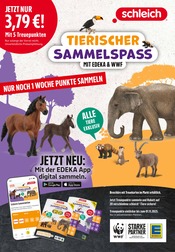 Spielzeug im EDEKA Prospekt in Trier Aktueller EDEKA Prospekt mit Spielzeug, "Aktuelle Angebote", Seite 36
