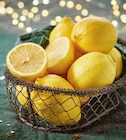 Promo Citron Jaune Bio à 1,19 € dans le catalogue Intermarché à Cavaillon