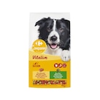 Multi-croquette pour chien - CARREFOUR COMPANINO - Carrefour Market à Dunkerque Multi-croquette pour chien - CARREFOUR COMPANINO en promo chez Carrefour Market Dunkerque à 4,92 €