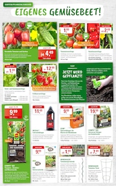 Aktueller ZG Raiffeisen Prospekt mit Bio, "GARTENFREUDE - BLUMEN, KRÄUTER UND GEMÜSE!", Seite 4