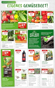 Rasenmäher im ZG Raiffeisen Prospekt "GARTENFREUDE - BLUMEN, KRÄUTER UND GEMÜSE!" mit 8 Seiten (Pforzheim)