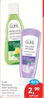 Shampoo oder Spülung Angebote von Guhl bei budni Stade für 2,99 €