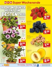 Erdbeeren im Netto Marken-Discount Prospekt in Rosenheim Aktueller Netto Marken-Discount Prospekt mit Erdbeeren, "Aktuelle Angebote", Seite 48