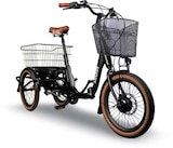 Aktuelles MINNA Falt E-Trike Angebot bei Netto Marken-Discount in Braunschweig ab 2.699,00 €