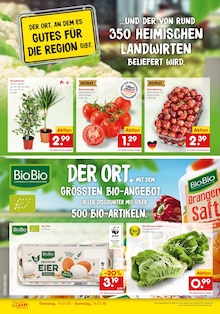 Netto Marken-Discount Prospekt der KW 29 "Neueröffnung - 10% auf ALLES" Aktueller Netto Marken-Discount Prospekt "Neueröffnung - 10% auf ALLES" Seite 2 von 6 Seiten