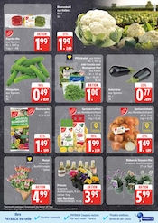 Aktueller EDEKA Prospekt mit Blumenerde, "Top Angebote", Seite 7