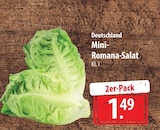 Mini-Romana-Salat bei famila Nordost im Melsdorf Prospekt für 1,49 €