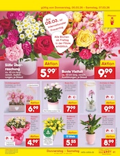 Glas im Netto Marken-Discount Prospekt in Bornheim Aktueller Netto Marken-Discount Prospekt mit Glas, "Aktuelle Angebote", Seite 51