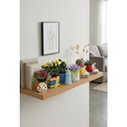 Mini plante fleurie et mini plante verte - MDD en promo chez Carrefour Market Saumur à 4,99 €