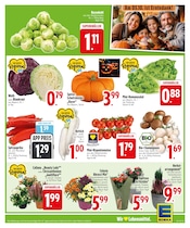 Aktueller EDEKA Prospekt mit Salat, "Noch kein °Punktesammler? Hier direkt anmelden!", Seite 3