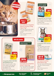 Offre Croquettes chat stérilisé dans le catalogue Maxi Zoo du moment à la page 4
