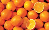 Oranges ”Lane Late” à Norma dans Modenheim