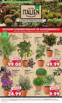 Oliven im Kaufland Prospekt "EXTRA-ANGEBOTE" mit 8 Seiten (Heilbronn)