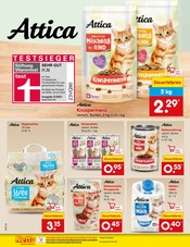 Ähnliche Angebote wie Lebende Futtertiere im Prospekt "Aktuelle Angebote" auf Seite 36 von Netto Marken-Discount in Trier
