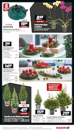 Weihnachtsbaum im toom Baumarkt Prospekt in Springe Aktueller toom Baumarkt Prospekt mit Weihnachtsbaum, "Respekt, wer's selber macht.", Seite 3
