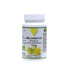 Extrait standardisé de millepertuis bio en boite de 250 mg - VIT'ALL+ dans le catalogue Botanic