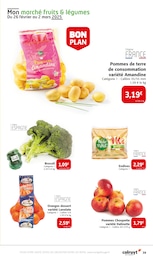 Offre Endive dans le catalogue Colruyt du moment à la page 39